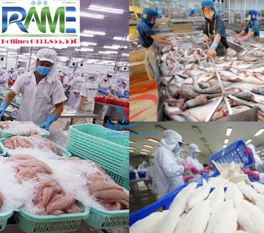 Kho Lạnh Bảo Quản Cá